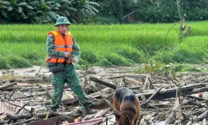 Thêm 3 chó nghiệp vụ vào Làng Nủ